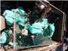 Reap Bags and Garbage
