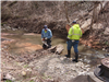 Man Sawing Tree in Stream