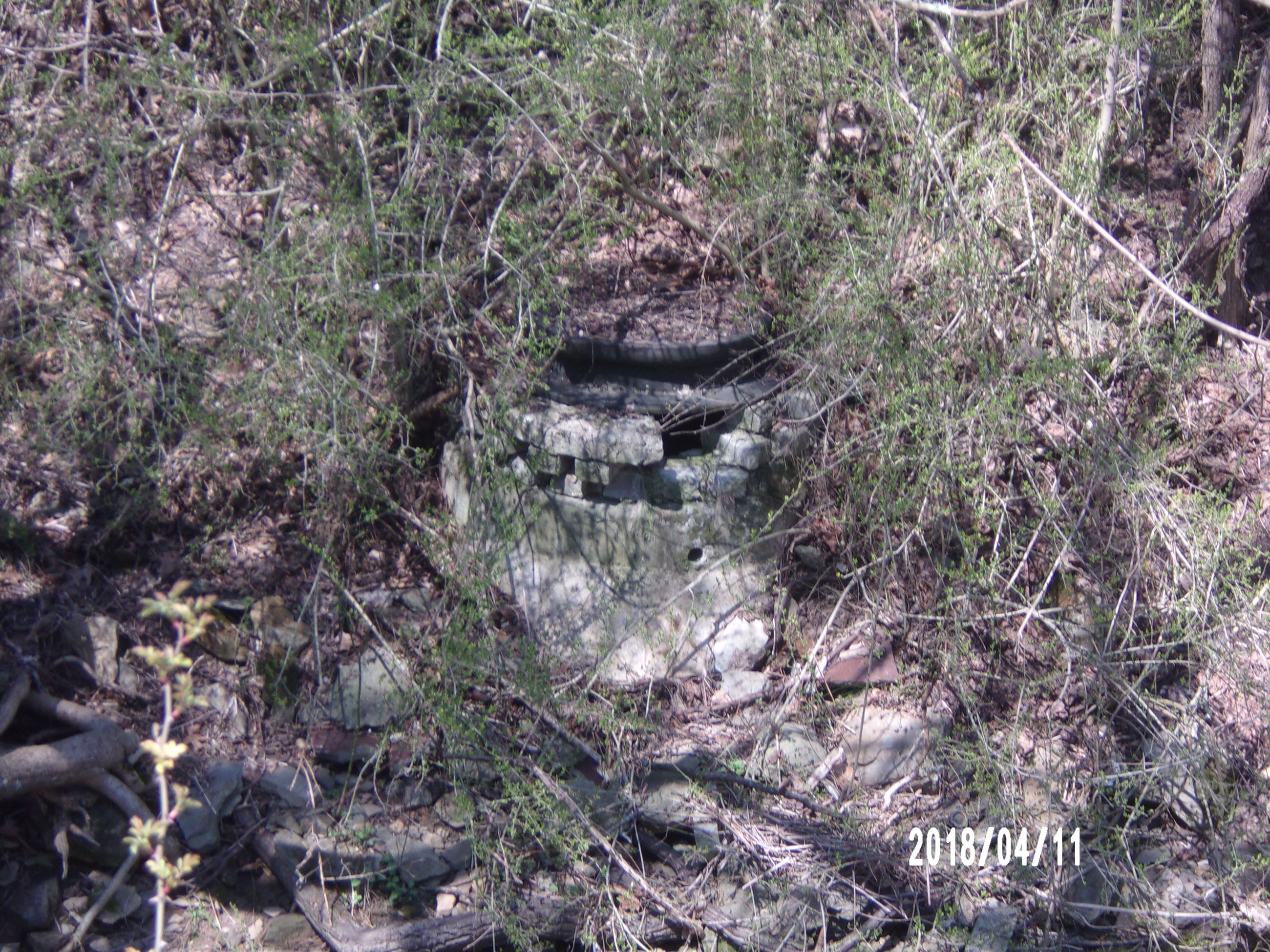 Well Covered in Brush